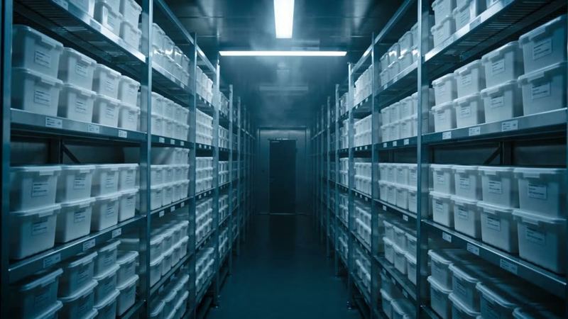 A refrigerated cold room lined with shelves of stock